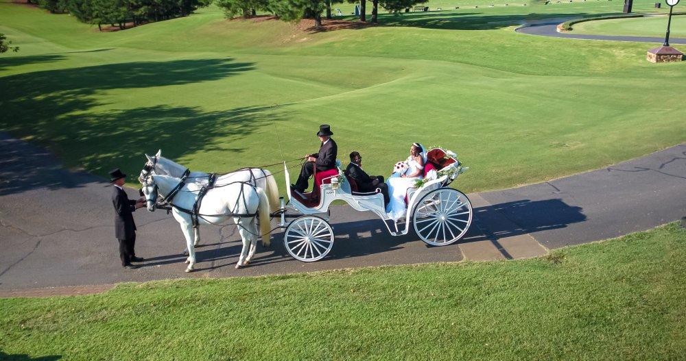 recomment-pack-image-0